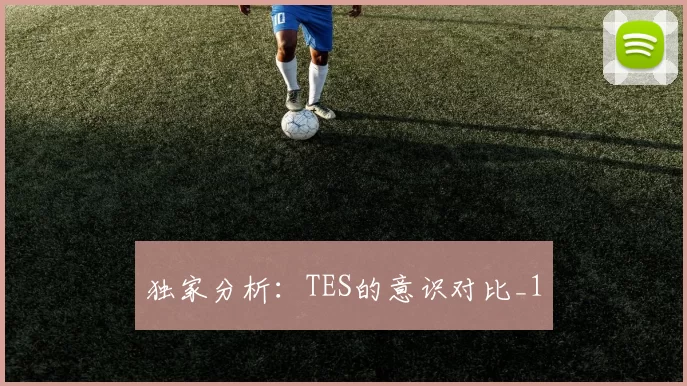 独家分析：TES的意识对比_1