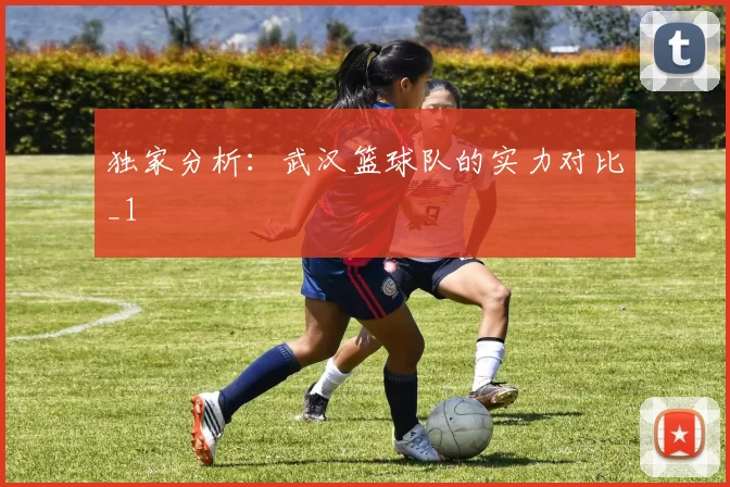 独家分析：武汉篮球队的实力对比_1