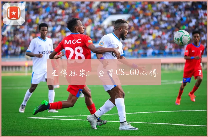 王伟独家：分享CS_GO心得