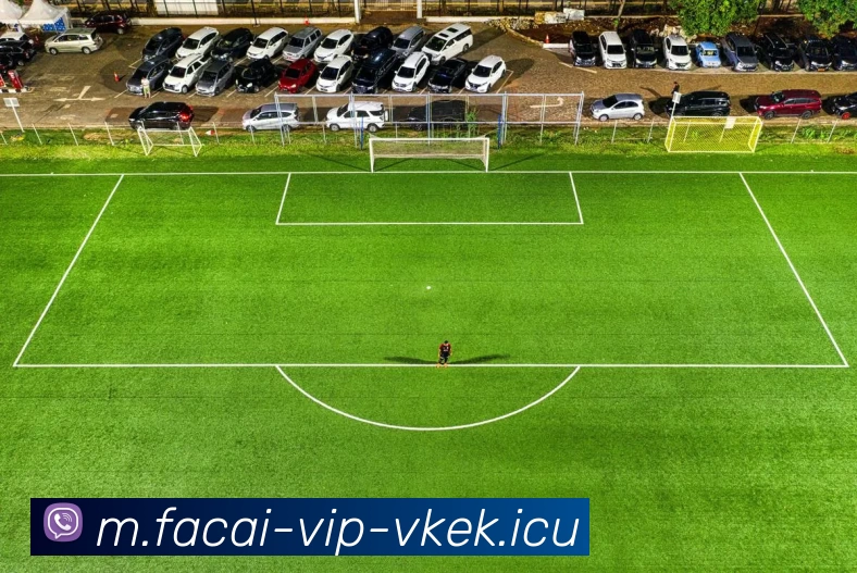 乐鱼体育服务体系